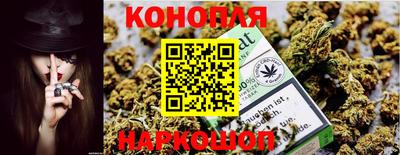 дживик Кандалакша