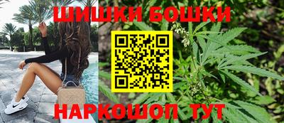 прущие крисы Камышлов