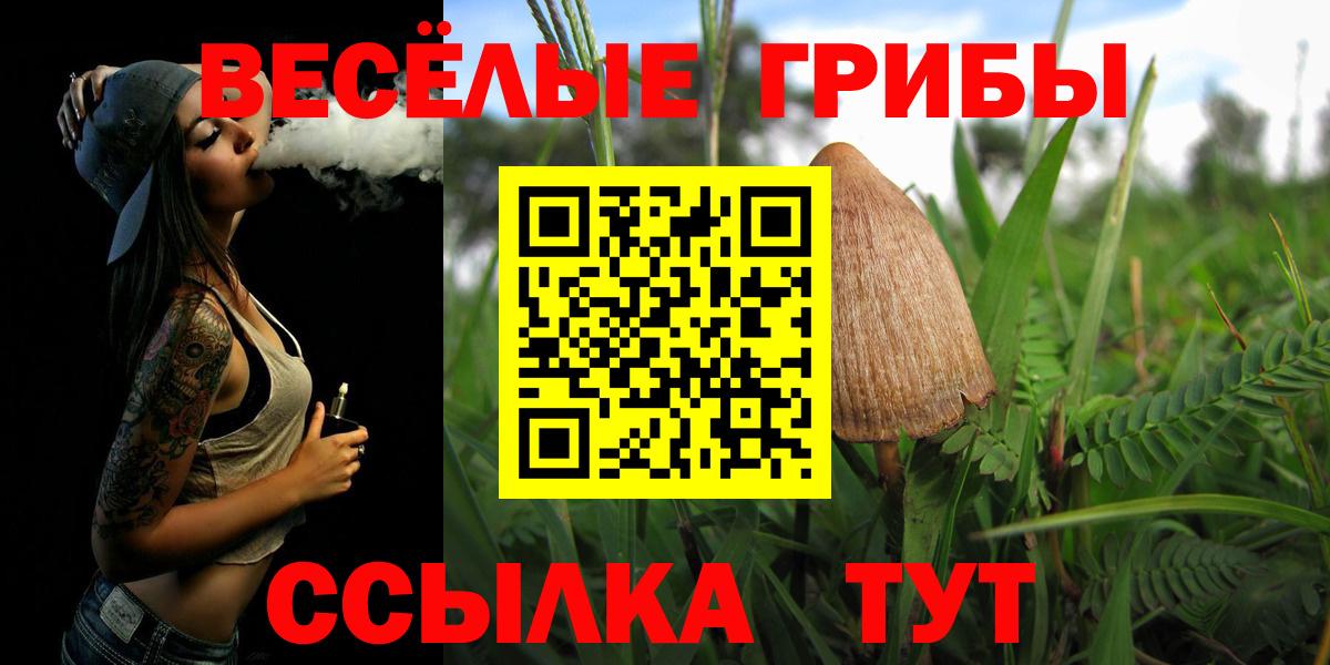 Псилоцибиновые грибы Psilocybe Лосино-Петровский