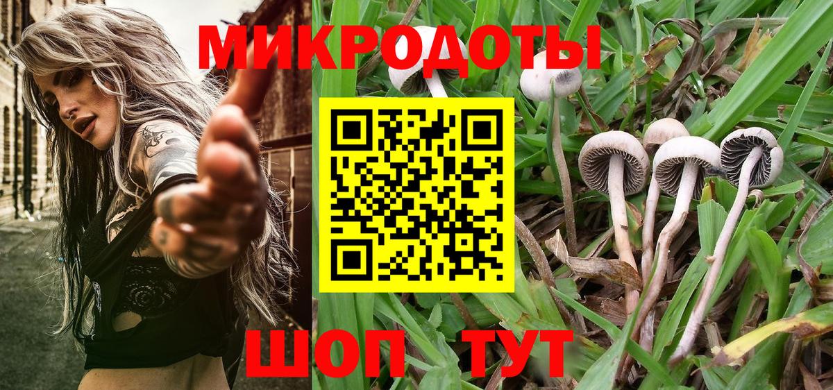 Лосино-Петровский  Псилоцибиновые грибы Psilocybine cubensis  Псилоцибиновые грибы Cubensis  Вход с VPN 